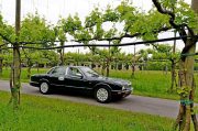 Le Jaguar nella zona del Prosecco e Cartize (80/152)